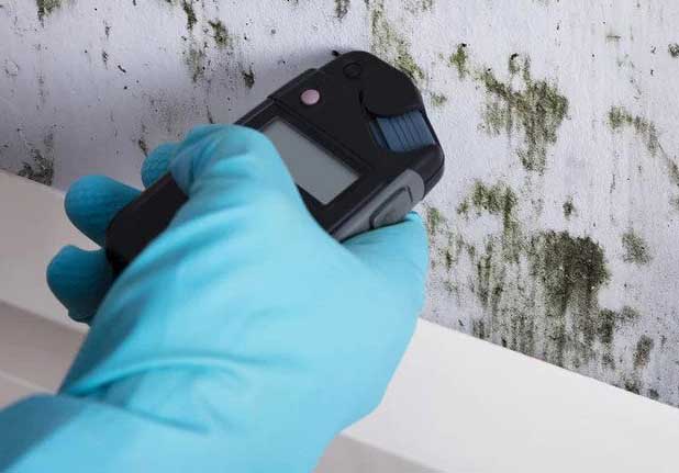 Mold makes a mess of your property and its building materials. A Production Construction restores the space to its pre-loss condition.